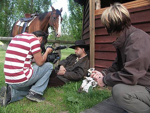 Království za koně