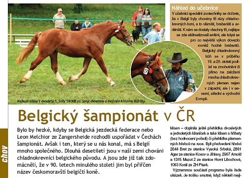 Belgický šampionát