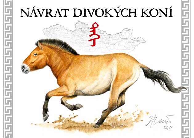 Návrat