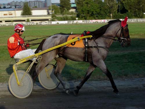 Önas Bismarck - ilustrační foto M. Hubníková