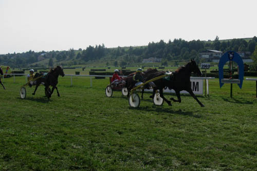 Roswitha Skal doběh