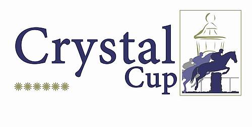 Crystal Cup