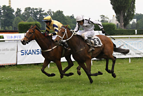 Ignacio a Jaroslav Myska_Ready for Life a Josef Bartos_foto Jiří Bělohlav