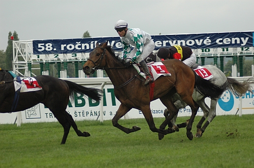 Dostihový infoservis