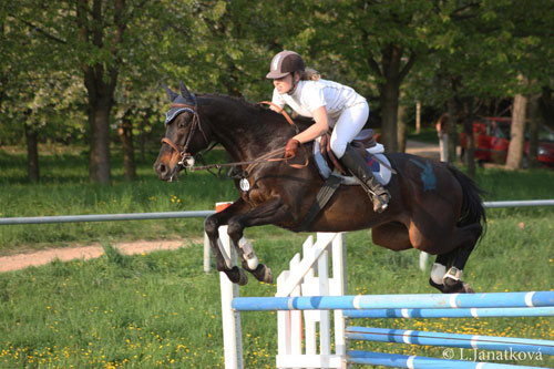 Veronika Havířová Veronika Havířová