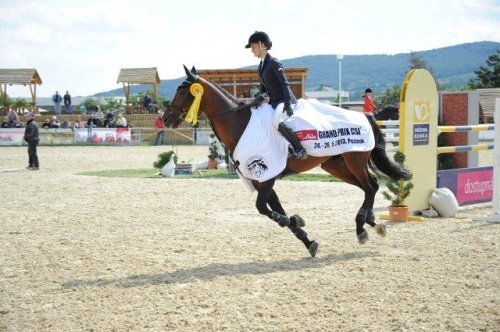 T. Šalková - Toro 1 T. Šalková - Toro 1