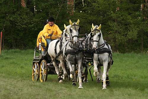 Jiří Nesvačil sen.