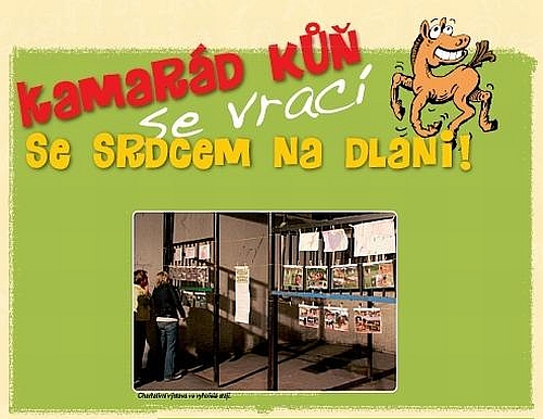 Kamarád kůň 2009