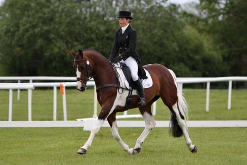 Caroline Powell - Ustinov van Elsenham CCI1