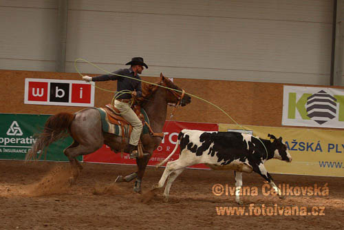 Prorodeo