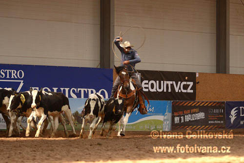 Prorodeo