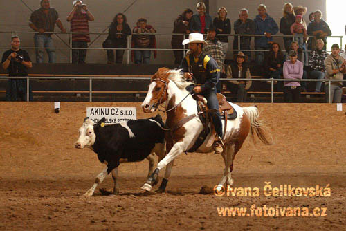 Prorodeo