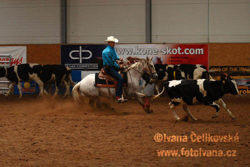 Prorodeo