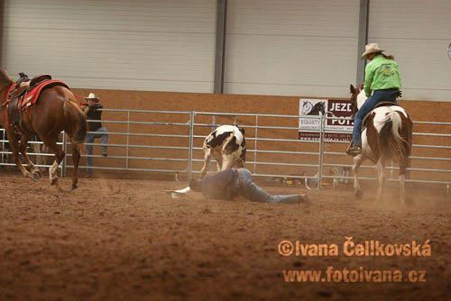 Prorodeo