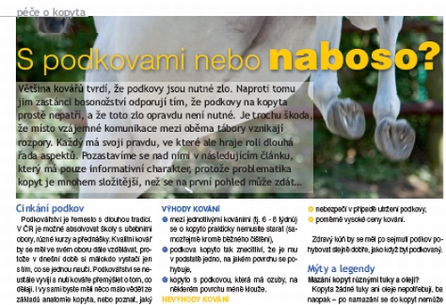 Ochutnávka z Jezdectví