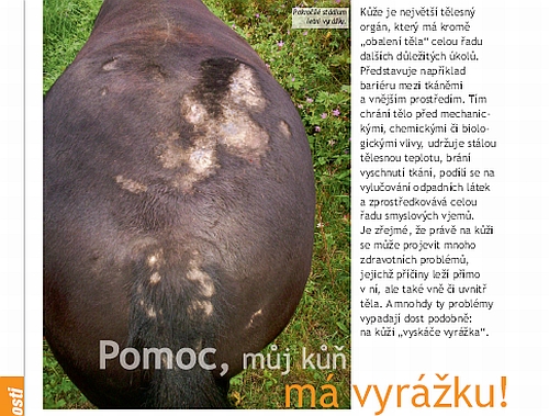 ochutnávka z Jezdectví