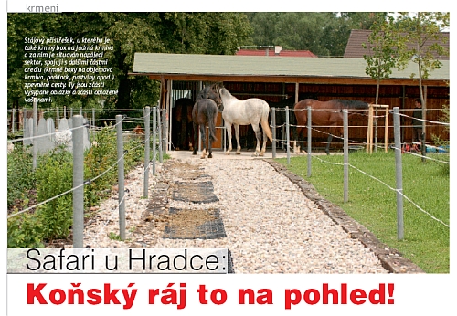 ochutnávka z Jezdectví