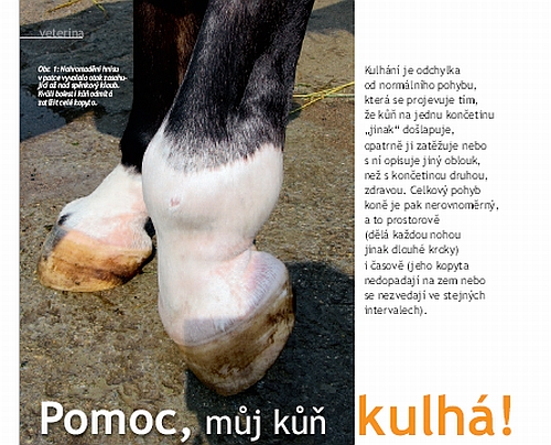 Ochutnávka z Jezdectví