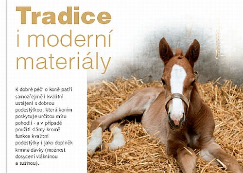 Ochutnávka z Jezdectví