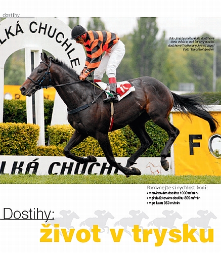 Ochutnávka z Jezdectví