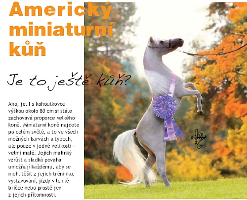 Ochutnávka z Jezdectví