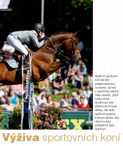 Ochutnávka z Jezdectví