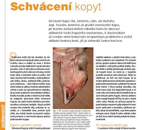 Ochutnávka z Jezdectví