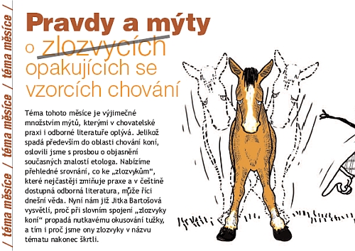 Ochutnávka z Jezdectví