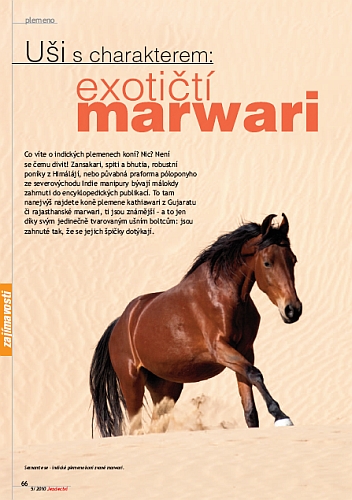 Ochutnávka z Jezdectví