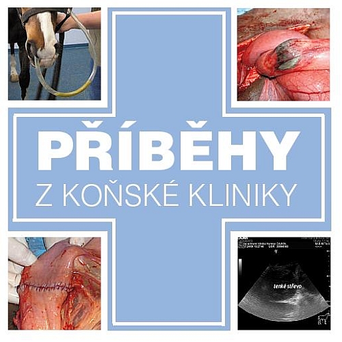 Příběhy z koňské kliniky