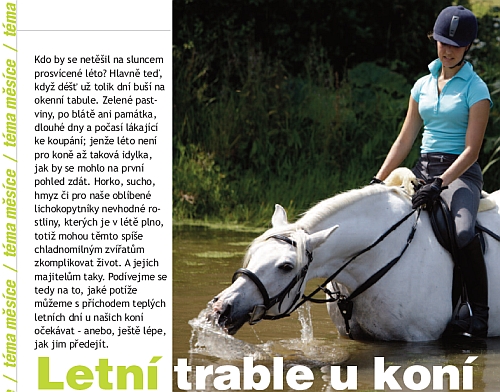 Ochutnávka z Jezdectví