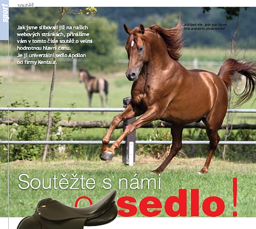 Ochutnávka z Jezdectví