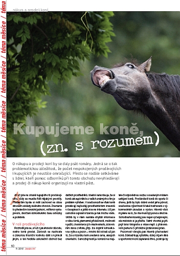 Ochutnávka z Jezdectví