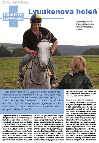 Ochutnávka z Jezdectví