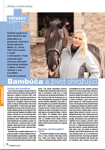 Ochutnávka z Jezdectví