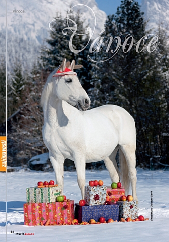 Ochutnávka z Jezdectví