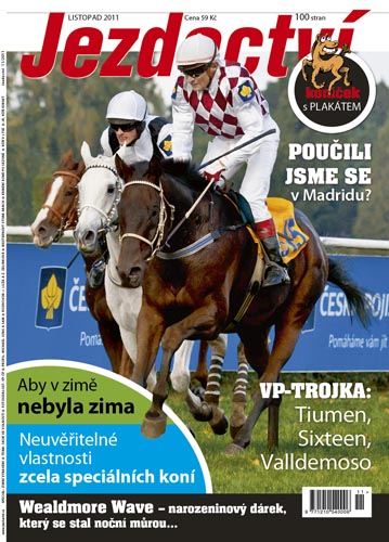 Jezdectví - listopad 2011