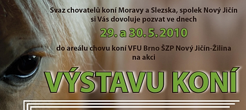 Výstava koní