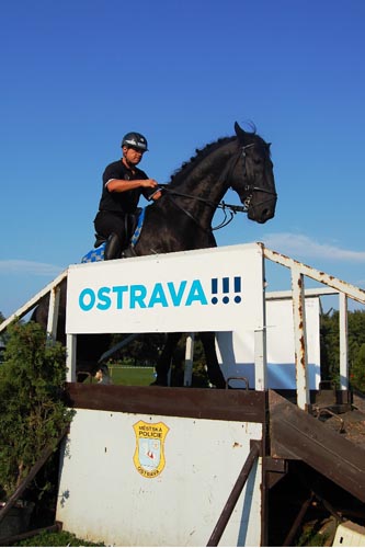 Zdolávání překážky