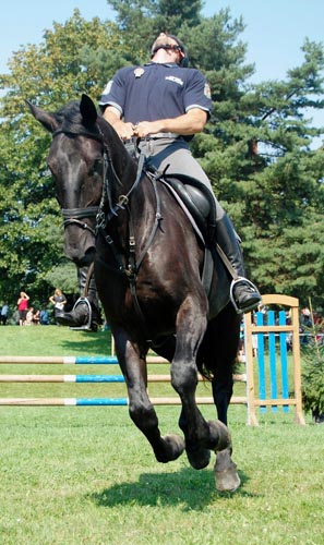 Starokladrubský vraník