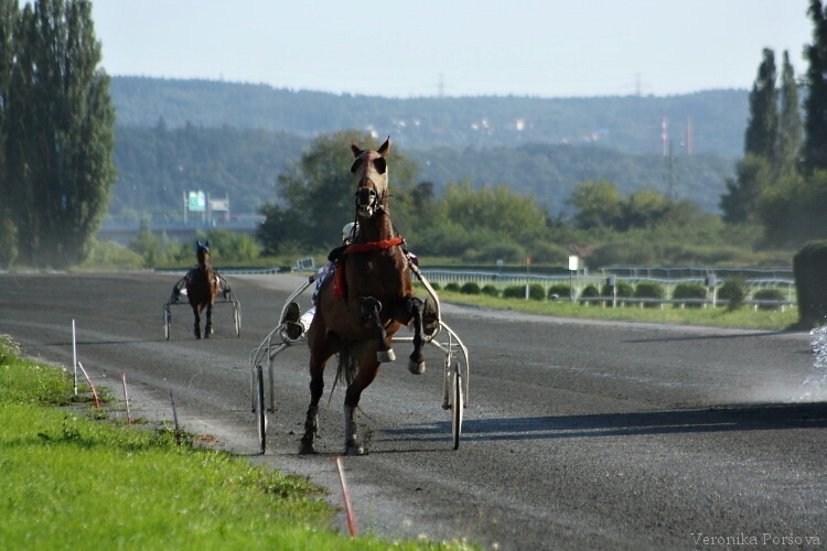 Polekaný Generál s Ivanem Coufalem - třetí místo v druhé rozjížďce na Klusácké Derby