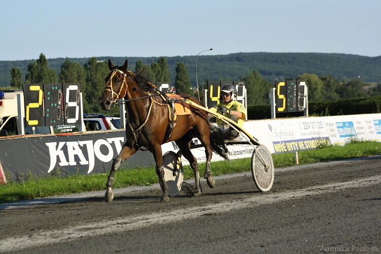 KAJOT Zlatý okruh V. s přehledem vyhrál sedmiletý I Can Fly Diamant (D) s am. Jiřím Svobodou