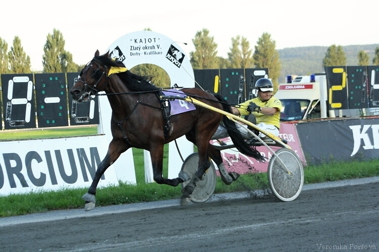 Kaizer Jamacan (S), vítěz druhé kvalifikace na České Derby