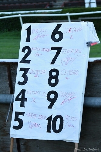 Startka České klusácké Derby s podpisy trenérů - pod čarou Box Wine(S), Atlantic