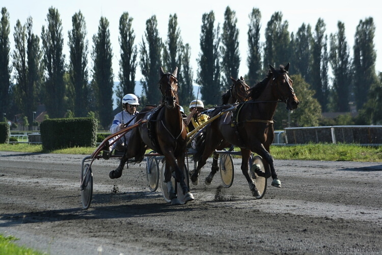 Vítězný Onward Iceberg s am. Martinem Vlasákem, v kolizi s E-mail Me (D) s Monikou Kalčíkovou