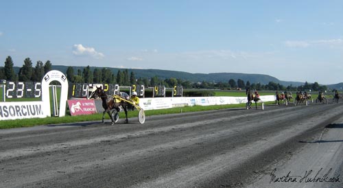 Únik The Generals Wish (D) s am. Davidem Papežíkem