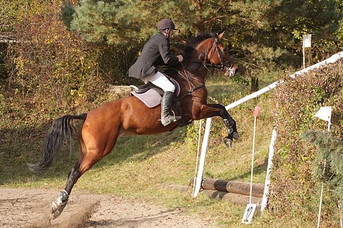 Pražské skokové derby